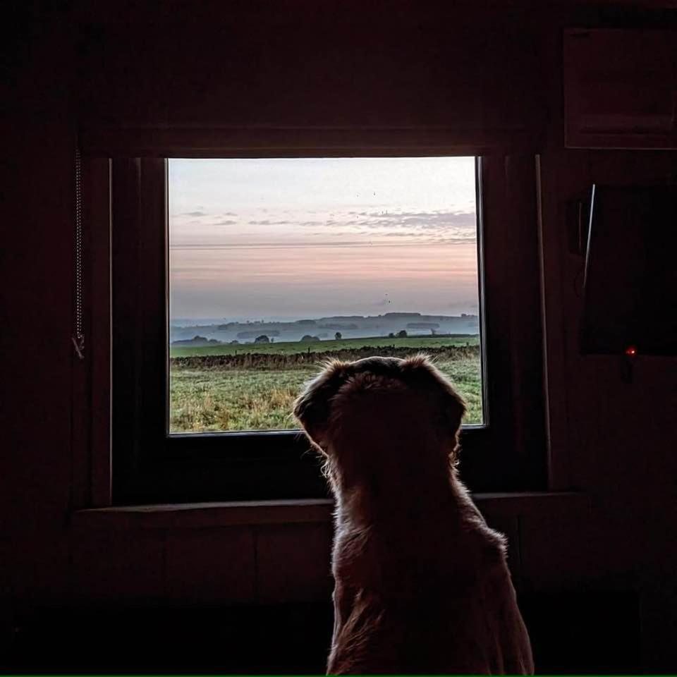 Luxury Shepherd Hut In The Peak District Бейкуел Екстериор снимка